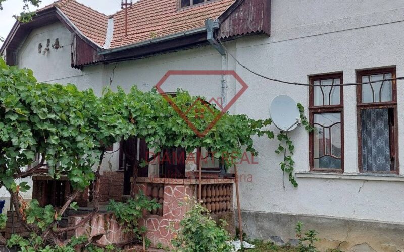 Netradičný rodinný dom – „kaštieľ“ v obci Neded.